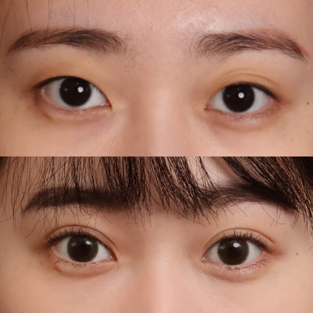 114/02/08-116/02/09